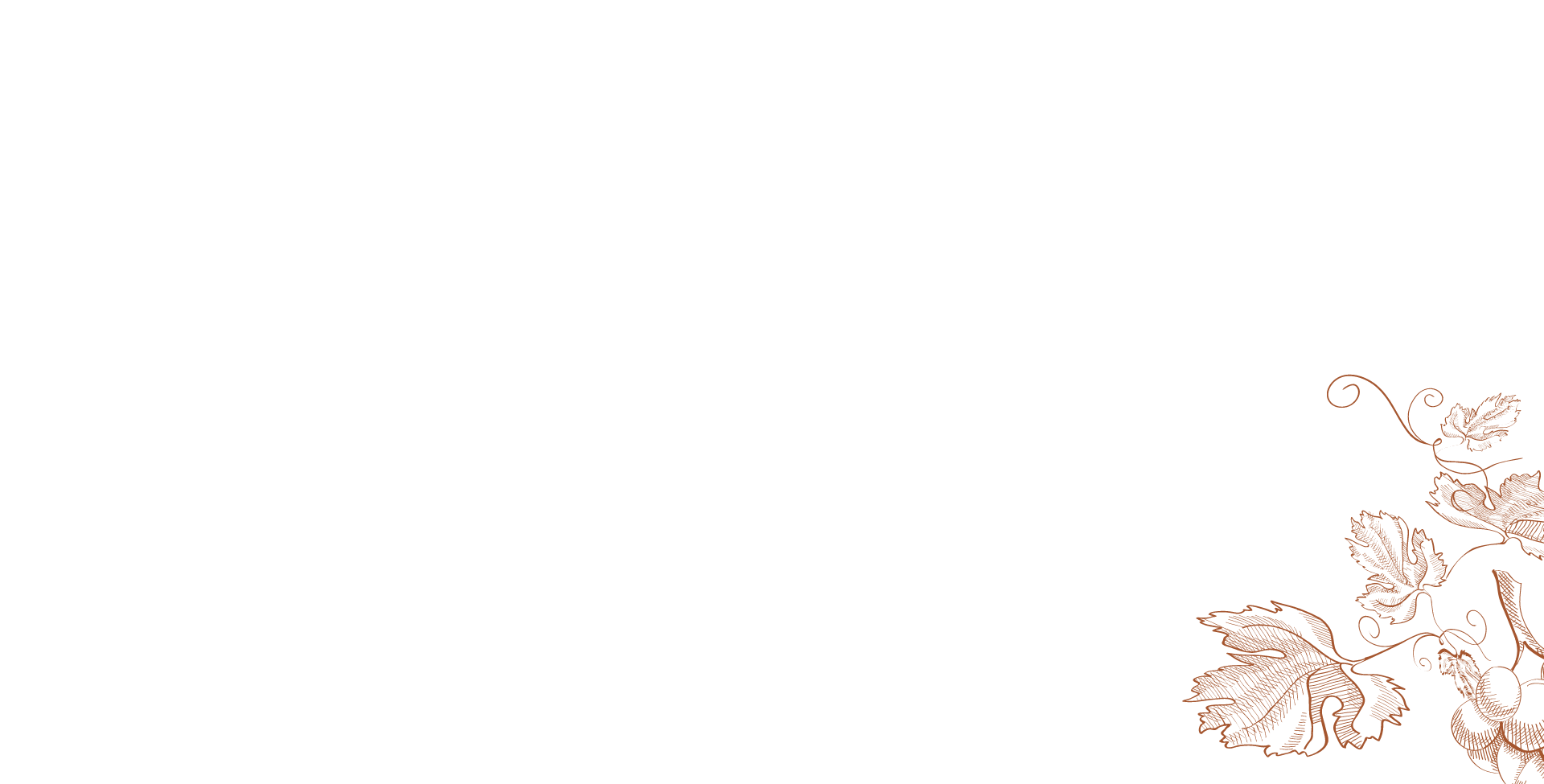 bg-website04