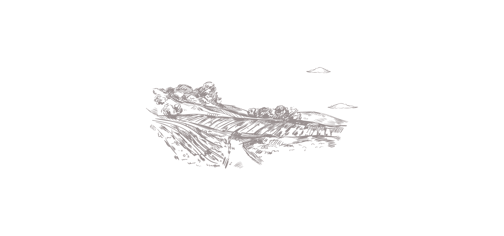 bg-website06
